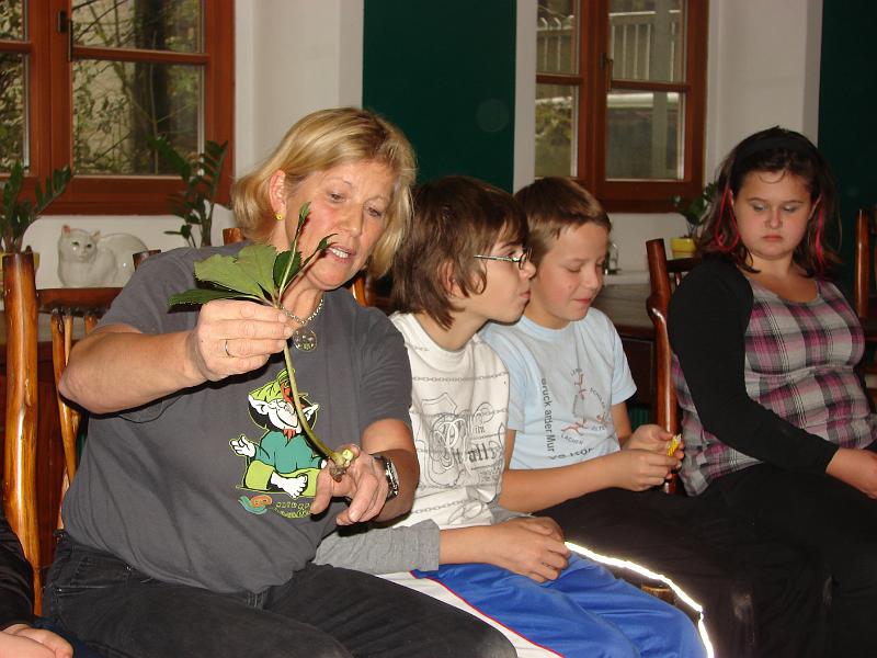 N&auml;chstes Bild